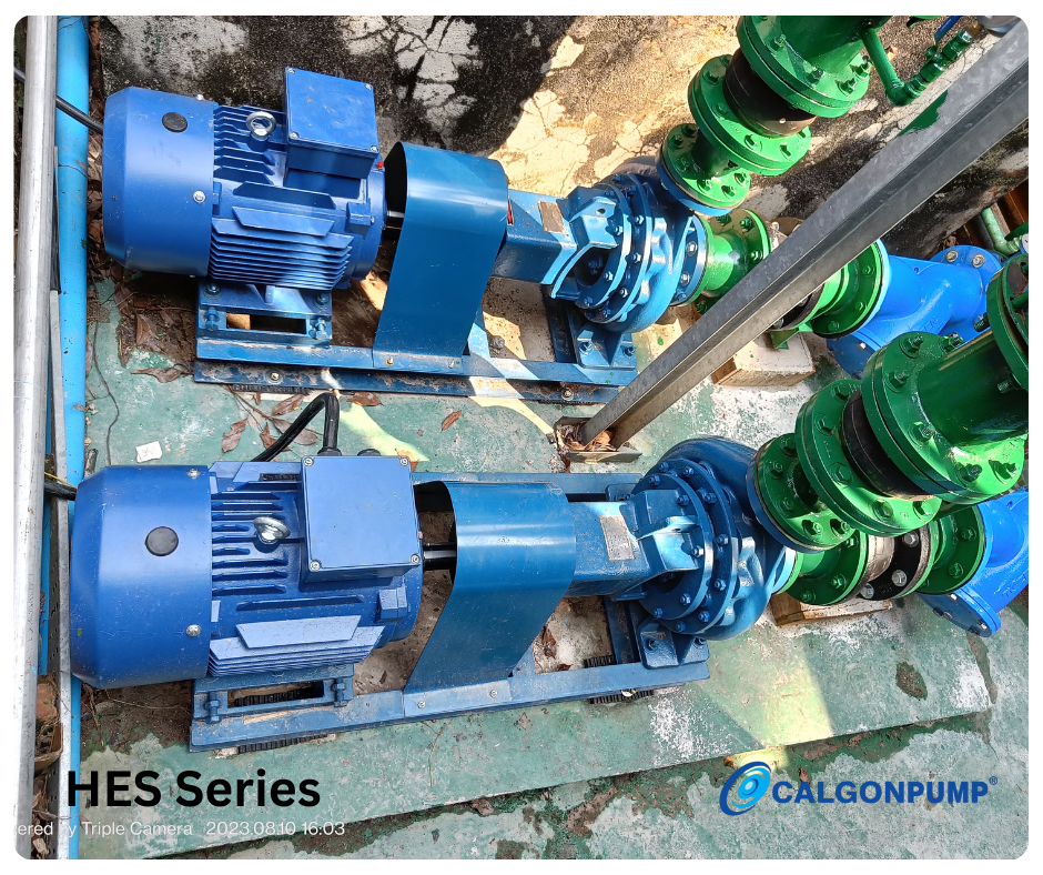End Suction Pump (Condenser Transfer Pump)